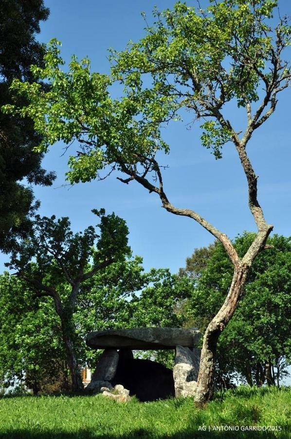 Angelas - Casa Da Eira Vila Praia de Âncora Dış mekan fotoğraf